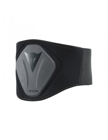 DAINESE TIGER LUMBAR HIGH