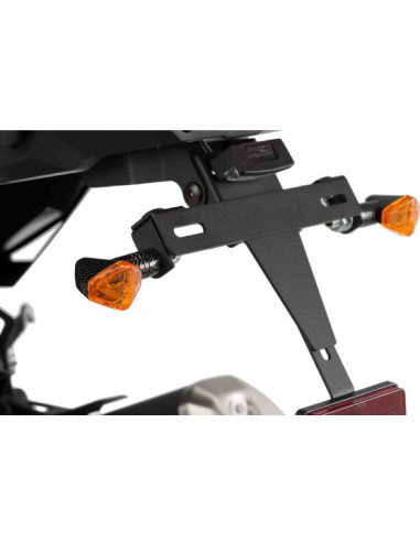 Puig žmigavci diamond carbon